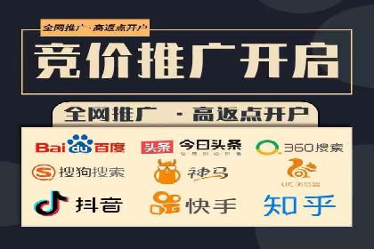 百度竞价赚钱的实战案例分析